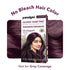 Paradyes Velvet Burgundy Glossy Hair Tint